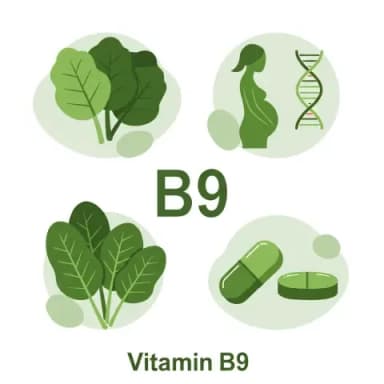 Vitamin B9