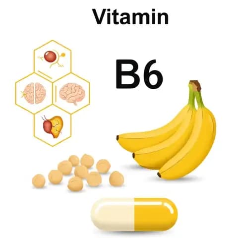 Image of Vitamin B6